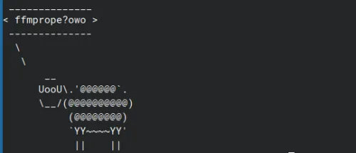 ffprobe.png